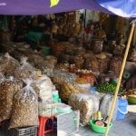 DSC03879_resultat_c2i-150x150-1