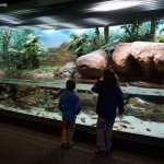 DSC03695_resultat_c2i-150x150-1