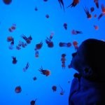 IMG_20181122_170600_resultat_c2i-150x150-1