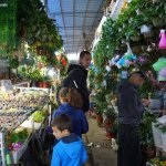 DSC03777_resultat_c2i-150x150-1