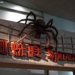 DSC03629_resultat_c2i-150x150-1