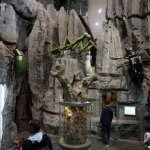 DSC03633_resultat_c2i-150x150-1