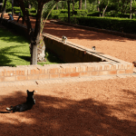 DSC06095-20170911_c2i-150x150-1