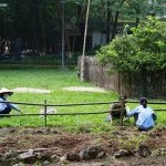 DSC03945_resultat_c2i-150x150-1