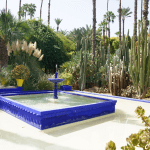 DSC06249-20170913_c2i-150x150-1