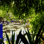 DSC06274-20170913_c2i-150x150-1