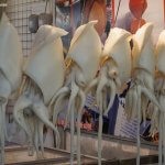 DSC03284_1_c2i-150x150-1