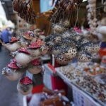 DSC03316_1_c2i-150x150-1