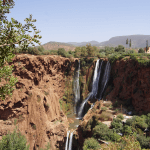 DSC06195-20170912_c2i-150x150-1