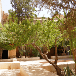 DSC06135-20170911_c2i-150x150-1