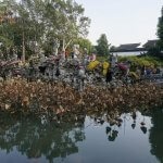 DSC03616_resultat_c2i-150x150-1