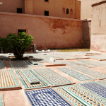 DSC06155-20170911_c2i-150x150-1