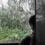 DSC03464_resultat_c2i-150x150-1