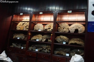 DSC03405_resultat_c2i