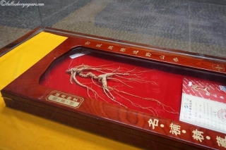 DSC03410_resultat_c2i