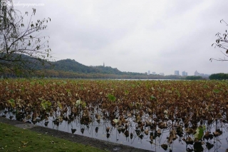 DSC03471_resultat_c2i