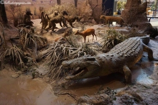 DSC03627_resultat_c2i