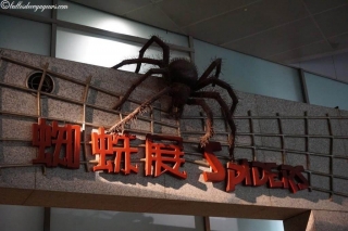 DSC03629_resultat_c2i