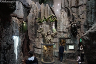 DSC03633_resultat_c2i