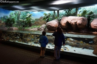 DSC03695_resultat_c2i