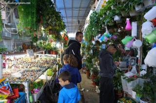 DSC03777_resultat_c2i