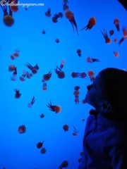 IMG_20181122_170600_resultat_c2i